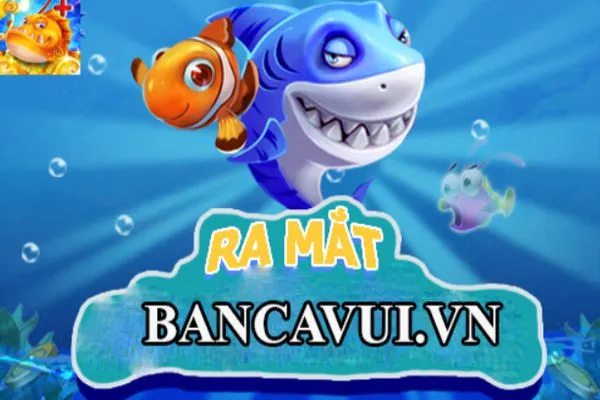 ban-ca-vui-vn