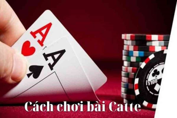 Catte tại Nhất Vip - Hướng dẫn cách chơi siêu hiệu quả từ các cao thủ catte-tai-nhat-vip-club-3